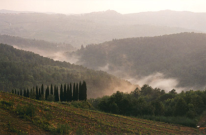 Near Lamole, Chianti, Tuscany.