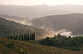 Evening at Lamole, Chianti