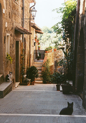 Pitigliano lane.