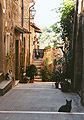 Lane in Pitigliano